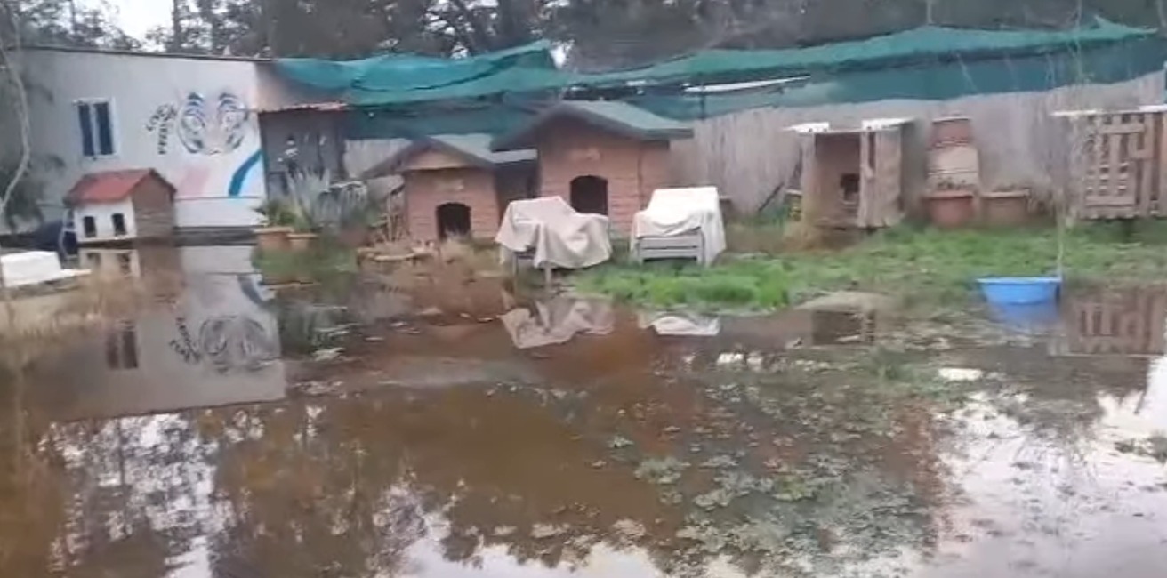 93Cc8Fed Aaa8 4E4E 8575 B8B7A818F8Ef