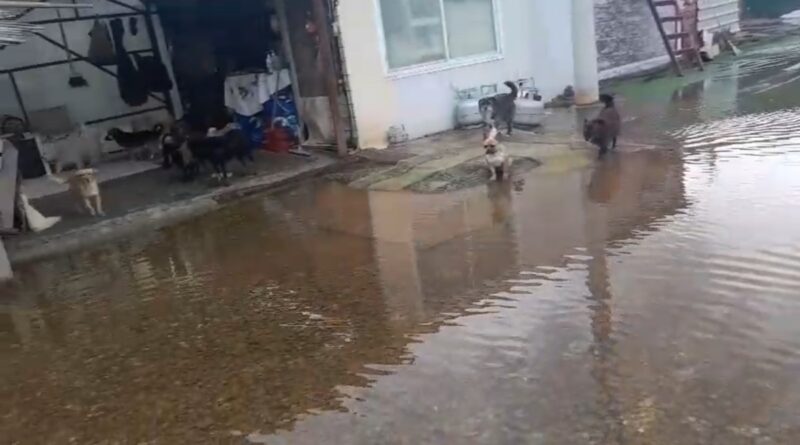 Screenshot 20260211 210109 Whats App 800X445