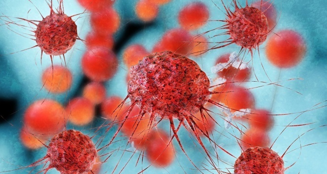 Meme Kanserini Sessizce Tetikleyen Alışkanlıklar (2)