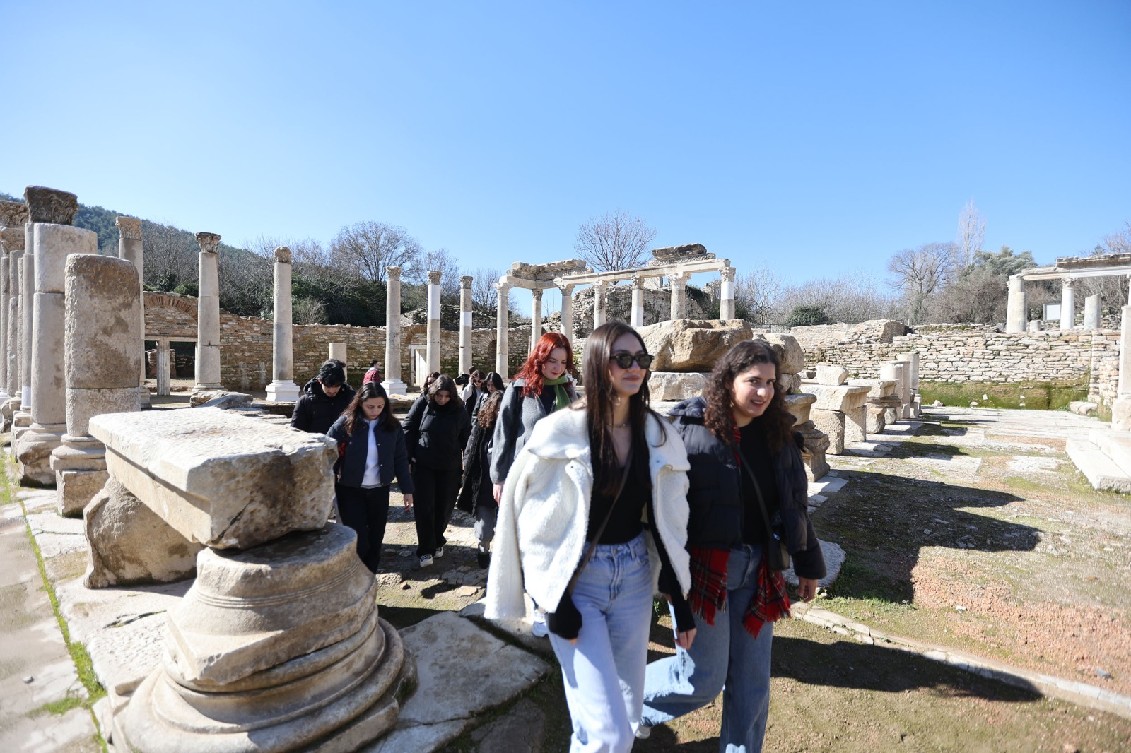 77B31565 Be2C 4882 B2D4 D68733974179