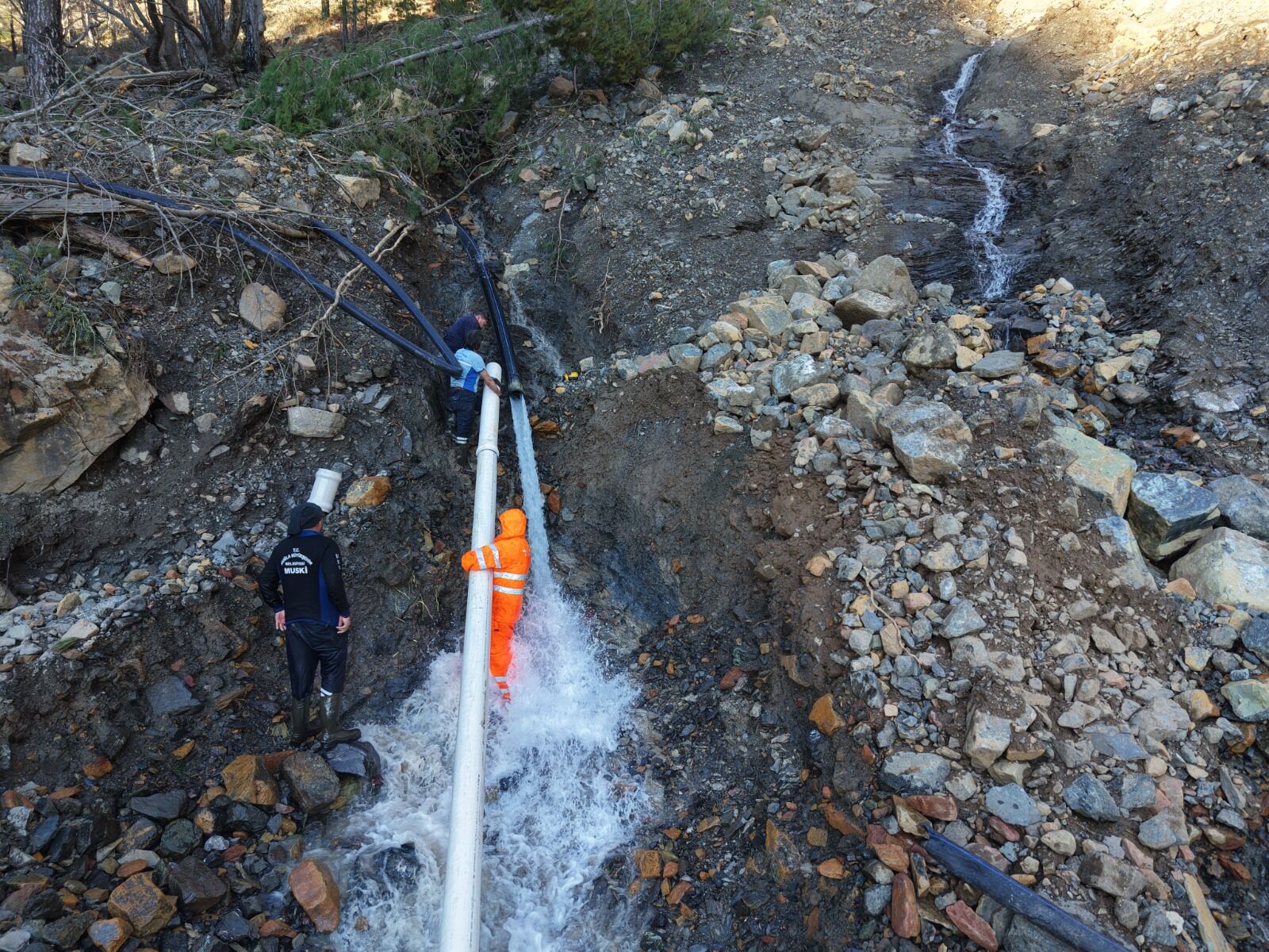 Whatsapp Image 2026 02 24 At 13.51.45