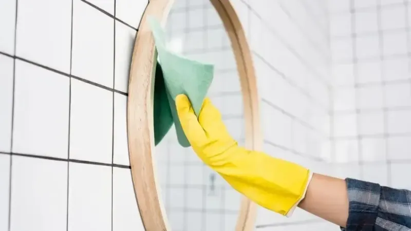 Ayna Temizligi 1724479383