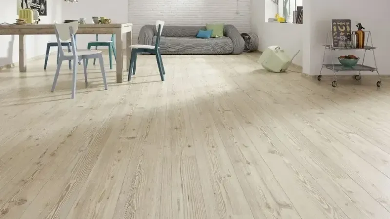 Parke Temizligi 1724479358