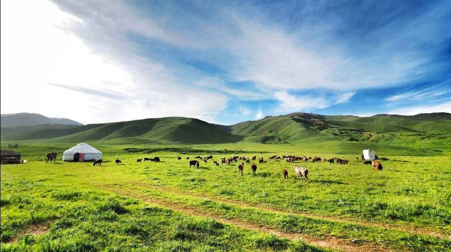 Gençlere Ücretsiz Kırgızistan Fırsatı (2)