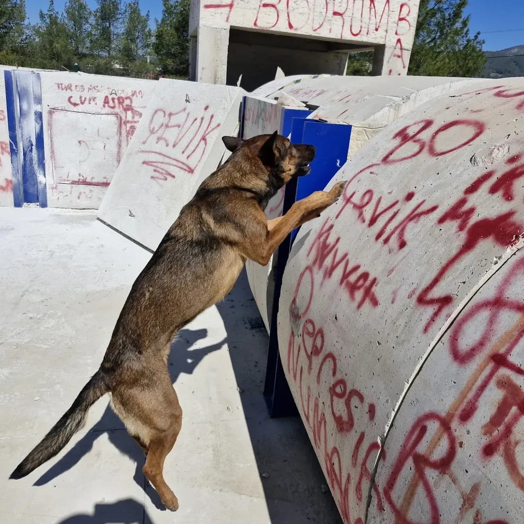 Menteşe’de 6.4’Lük Deprem Senaryosu Tatbikatı Yapıldı7