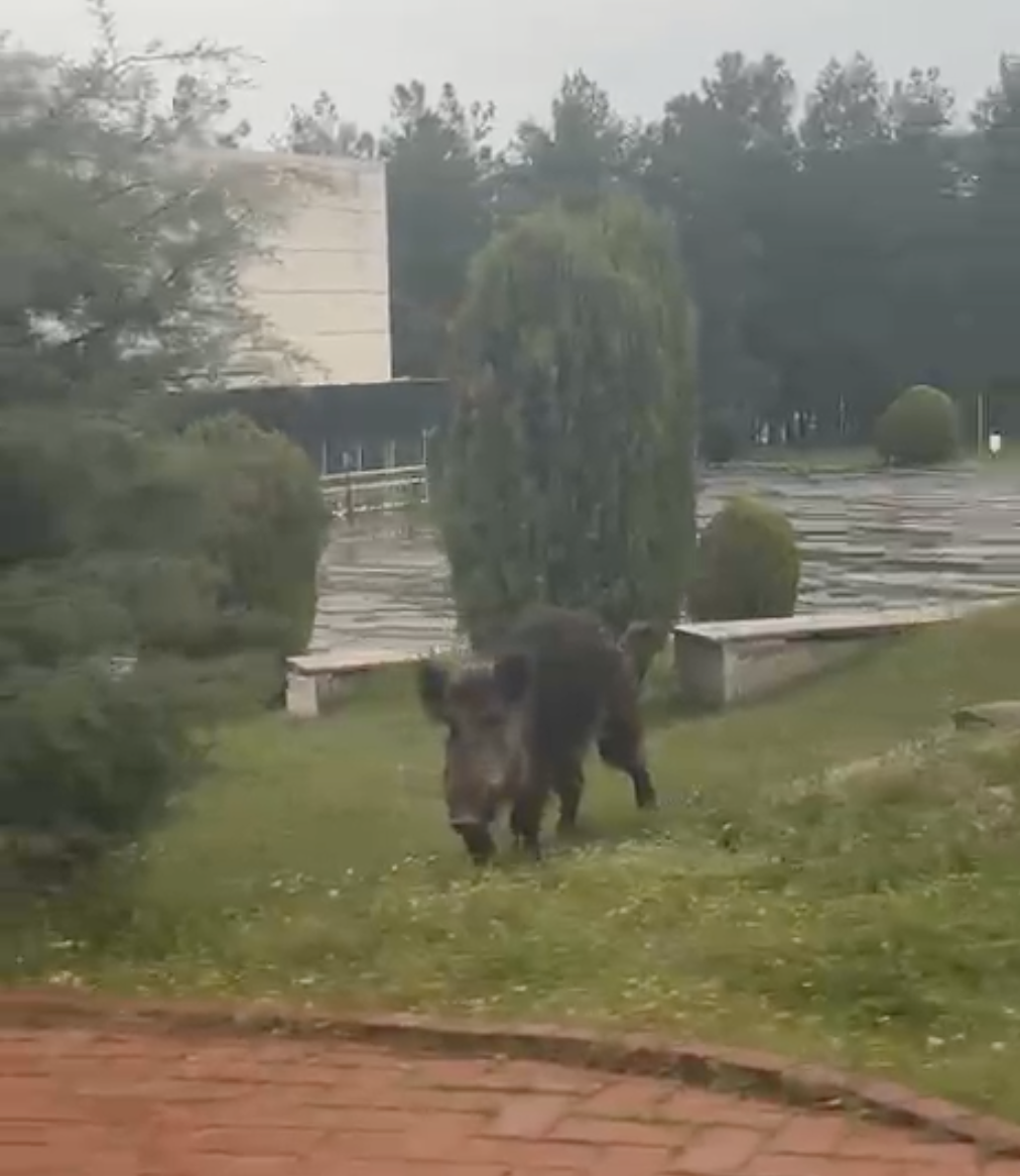 Ekran Resmi 2026 03 20 18.56.18