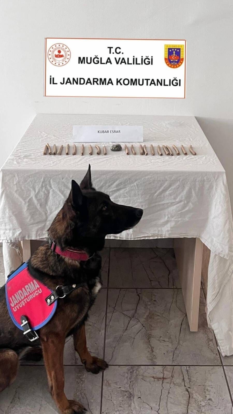 Whatsapp Image 2026 03 30 At 12.10.24 (1)