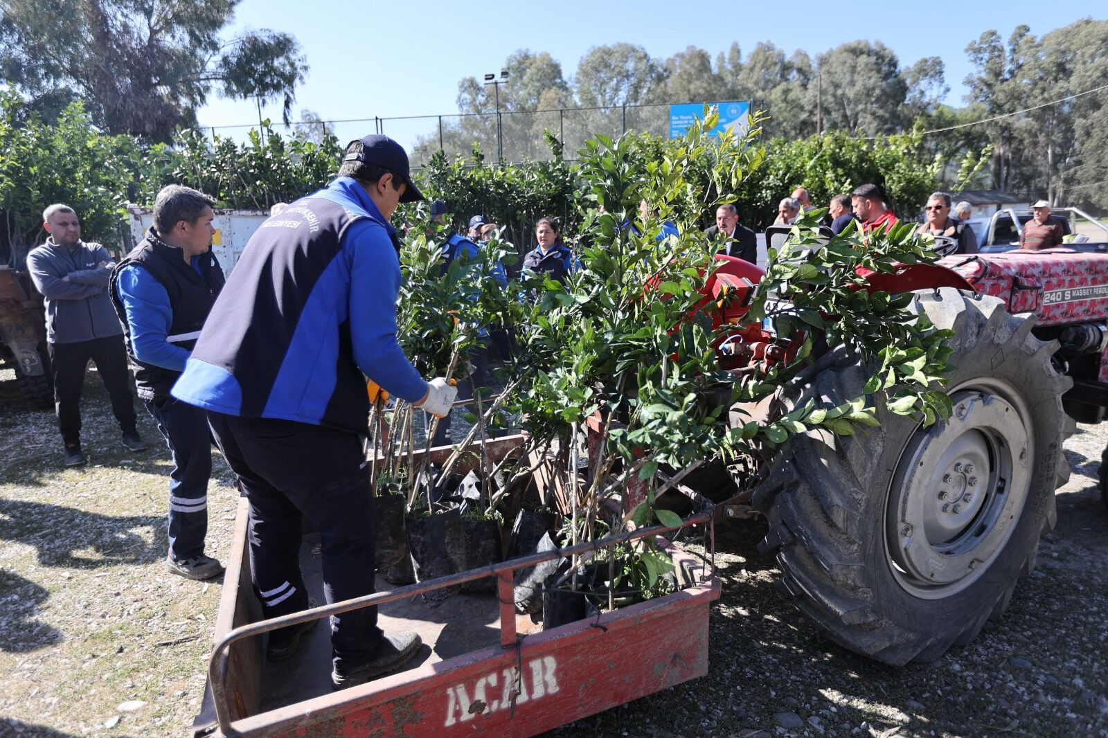 Whatsapp Image 2026 03 12 At 15.44.06