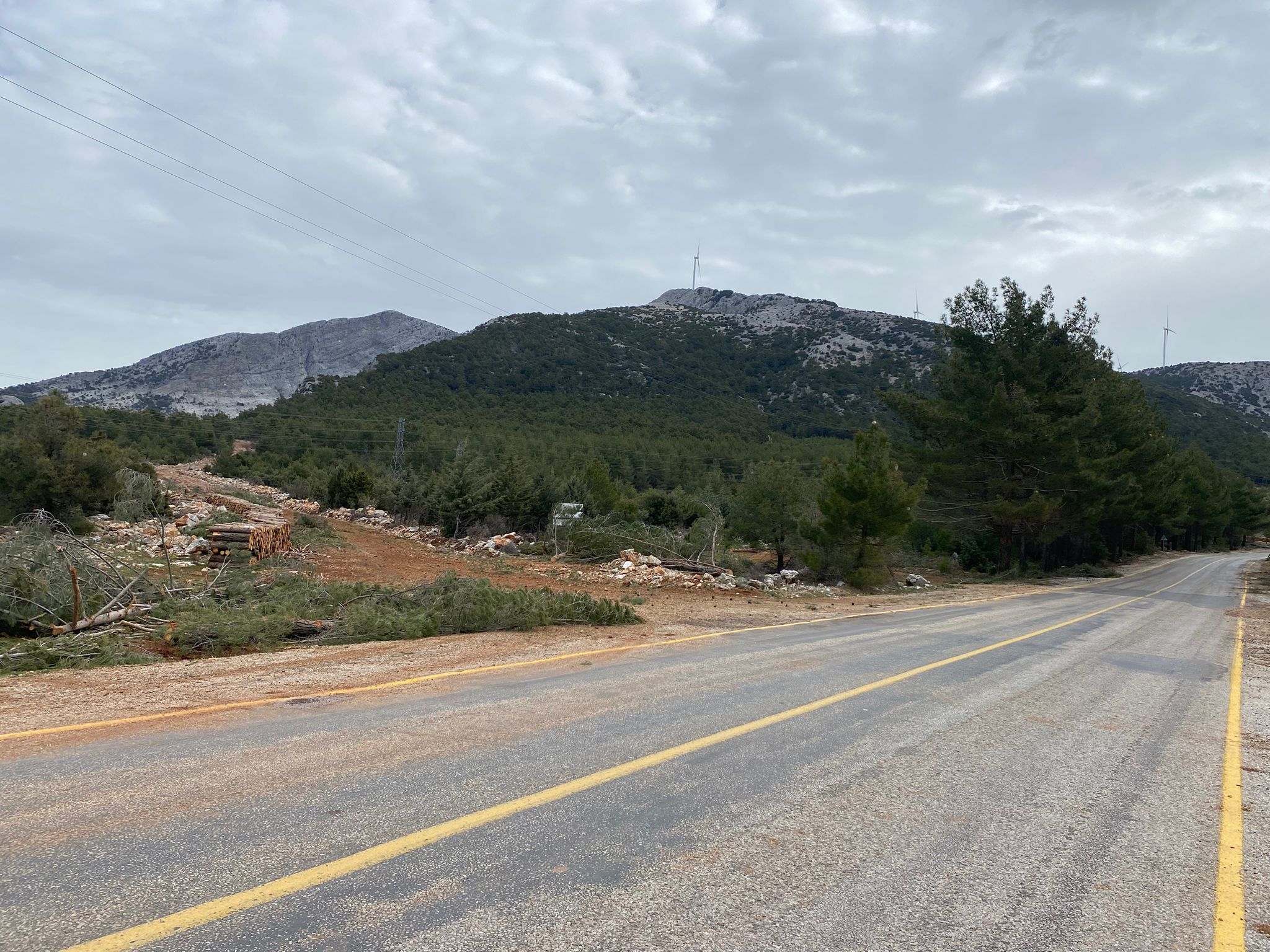 Whatsapp Image 2026 03 18 At 16.58.01