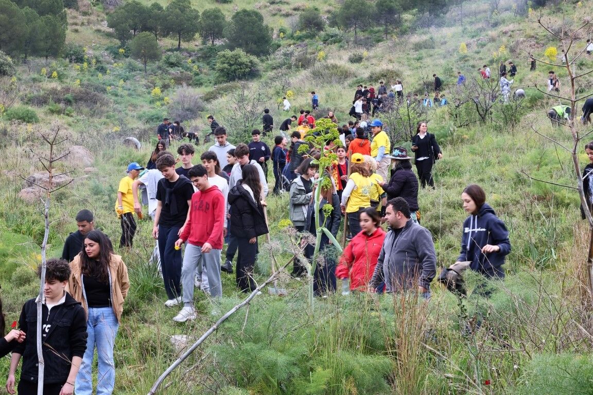 Belediyeden Yanan Ormanlık Alanda Fidan Dikim Etkinliği (1)
