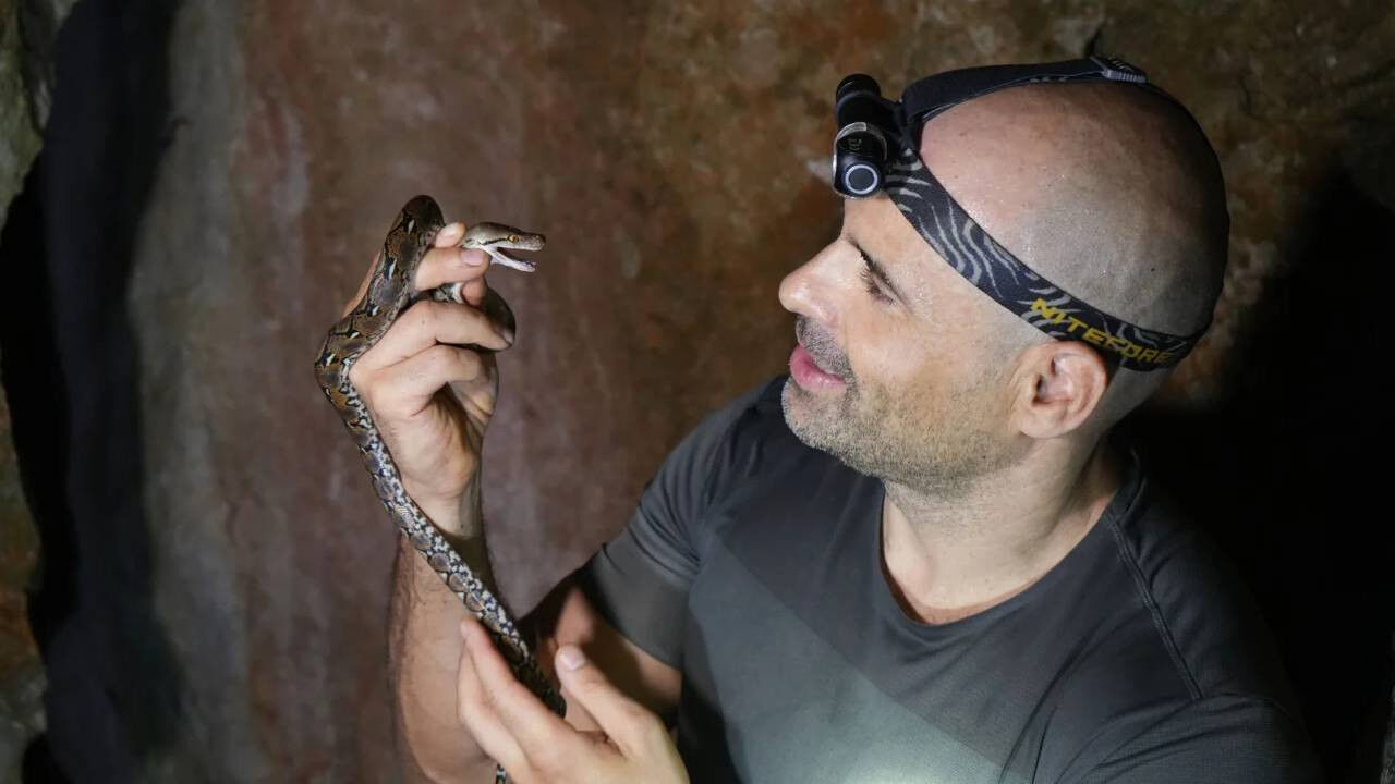 Ucan Yilan Dahil Cok Sayida Egzotik Hayvan Kambocyadaki Bir Magarada Yeni Canli Turu Kesfedildi Szpe