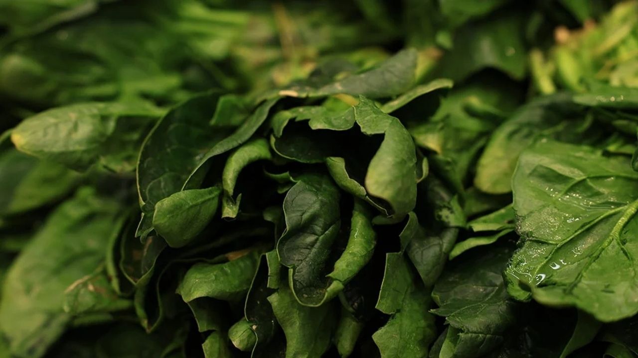 Adsız Tasarım (12)