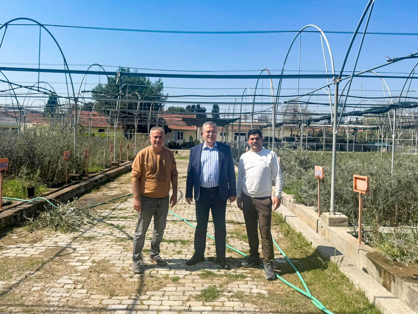 Fethiye Zeytinyağı Için Coğrafi Işaret Başvurusu Yapıldı (4)