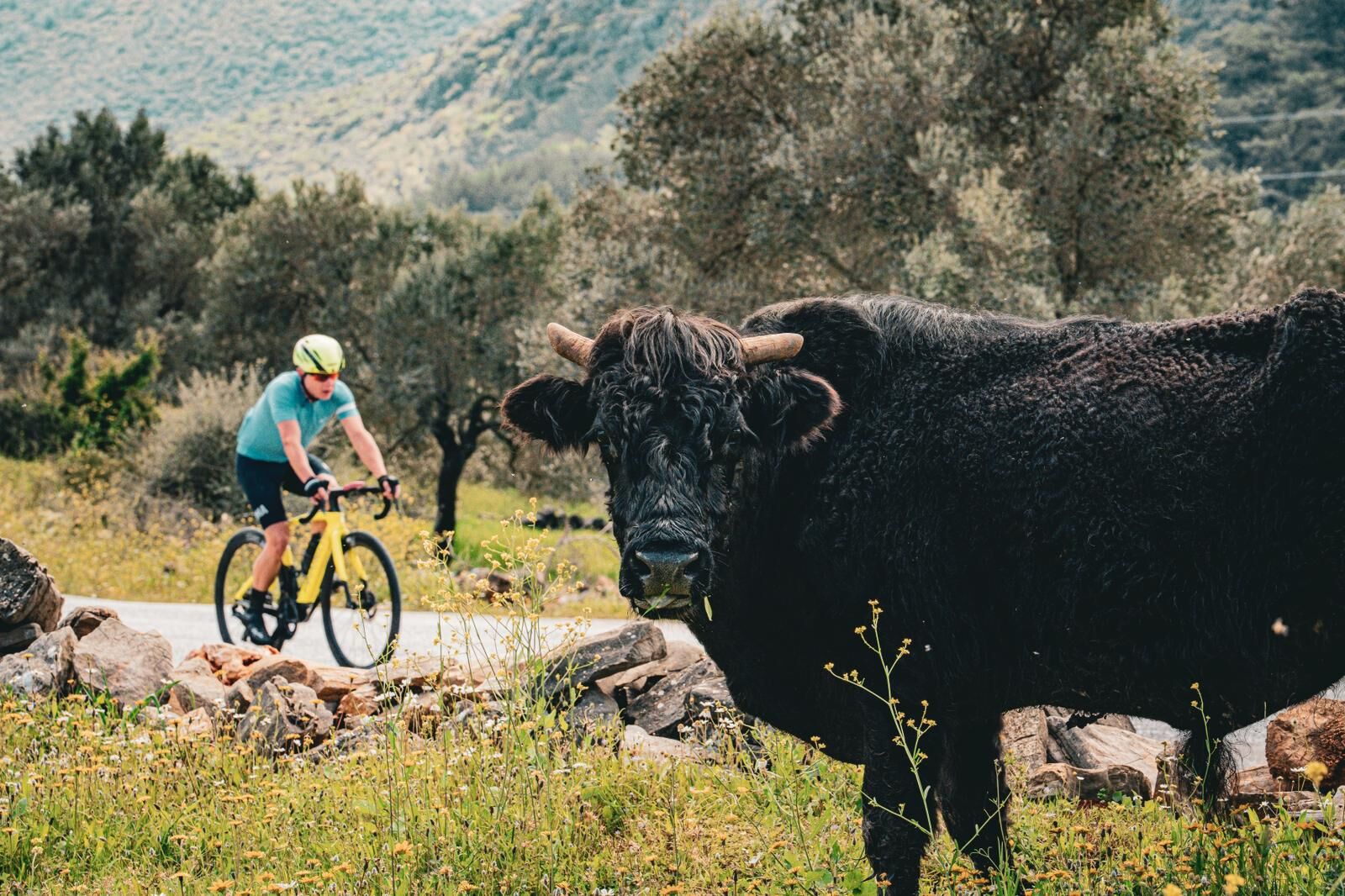 Whatsapp Image 2026 04 09 At 15.52.56 (1)