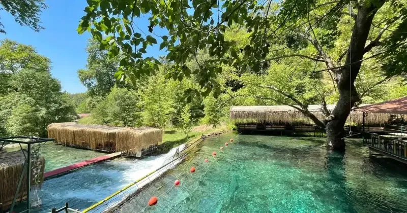 Dde17E10 C336 46Cf Abd7 C4803B1Df9Fb Avlw1Qop77Iklo7P