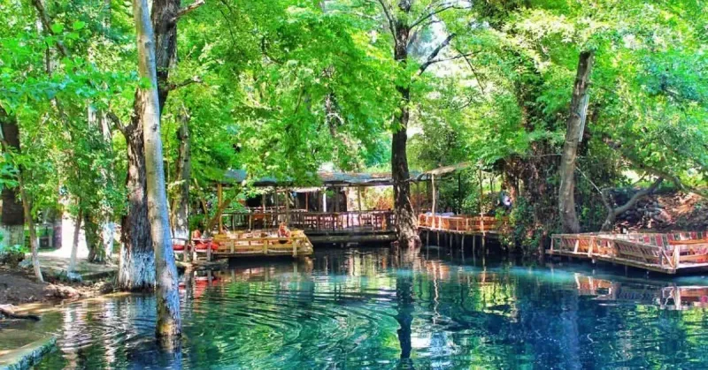 Koycegiz Yuvarlakcaya Dair Her Sey