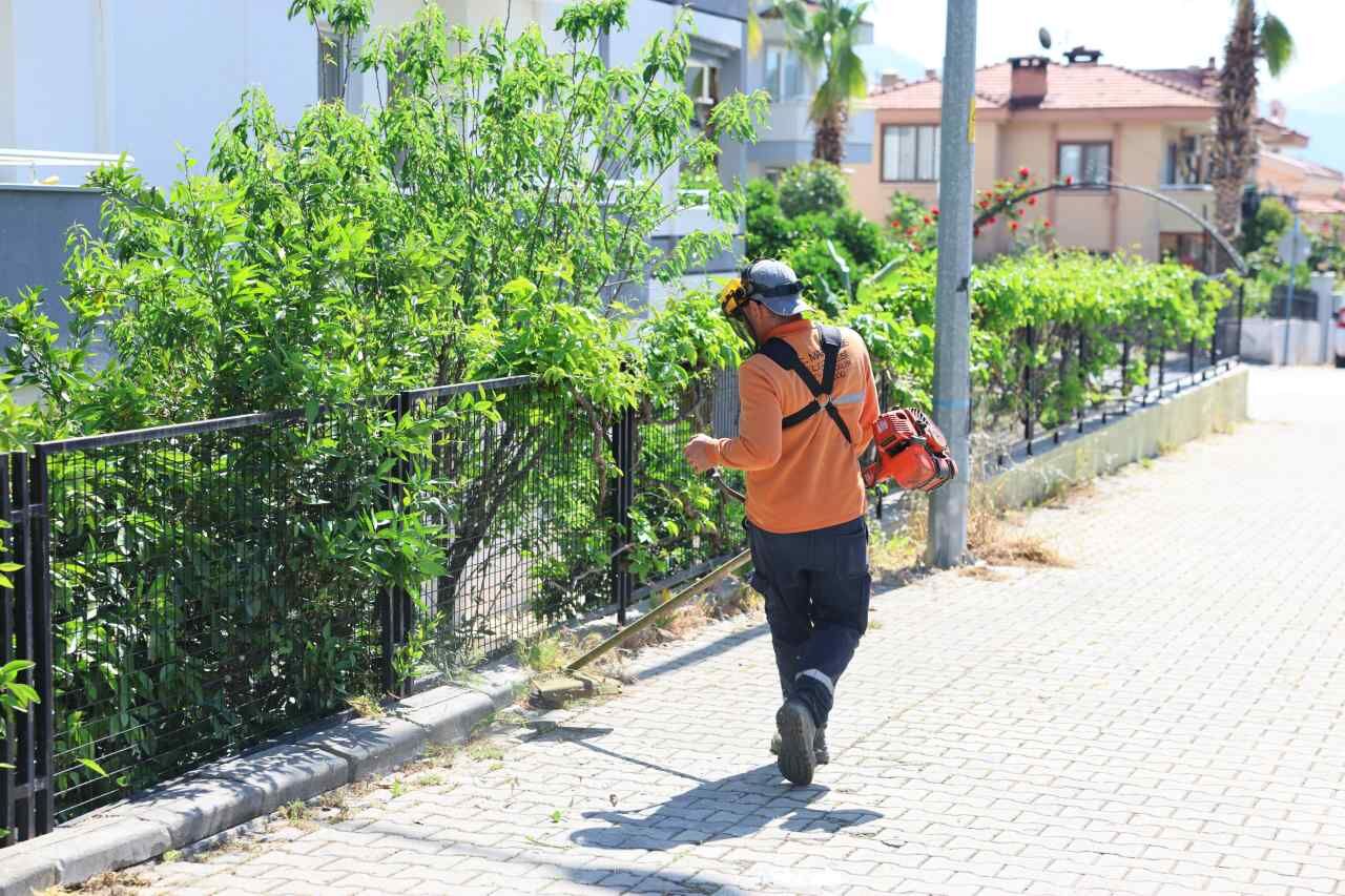 Bahar Temi̇zli̇ği̇ (3)