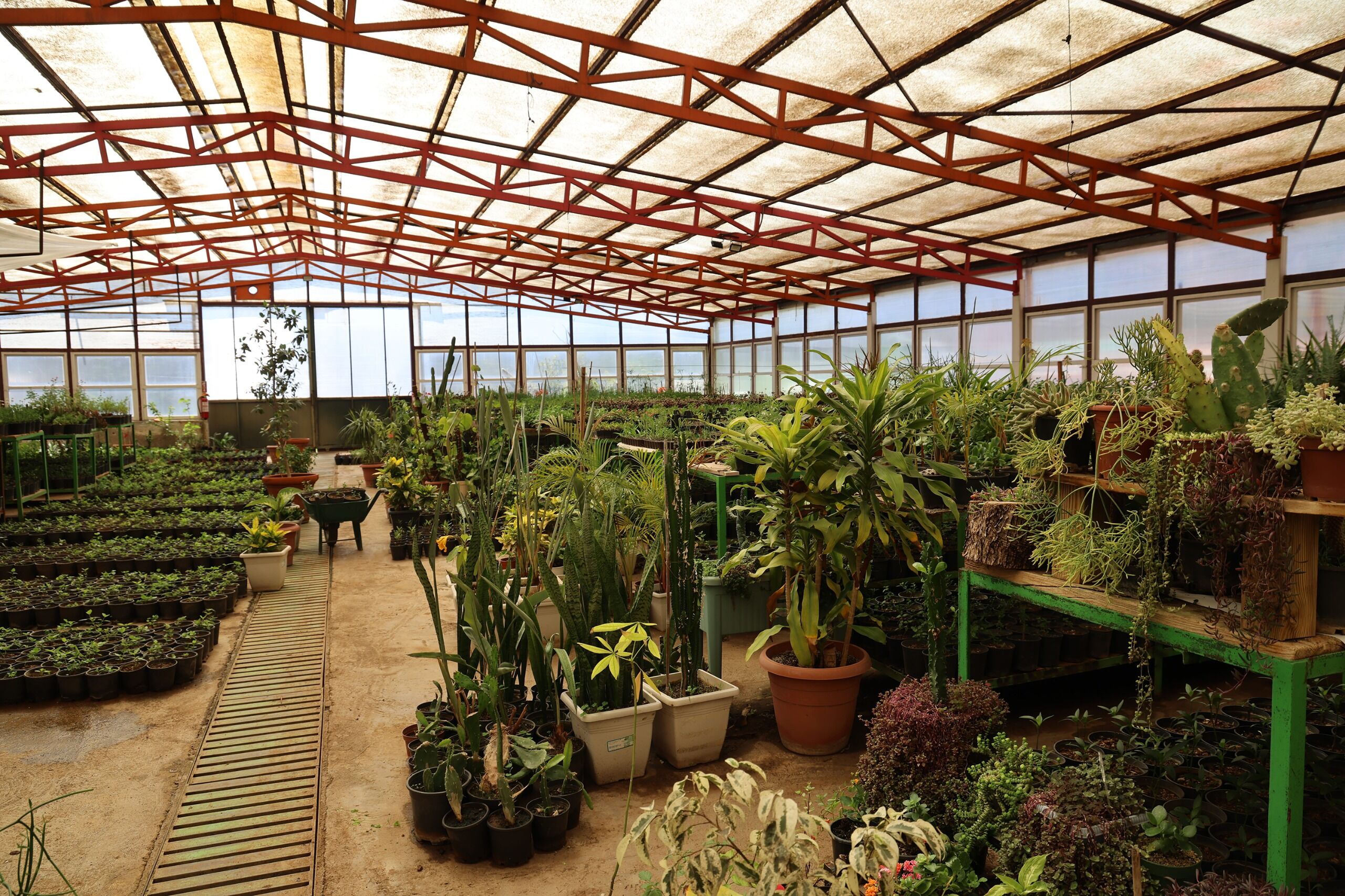 Marmari̇s Seralar (1)