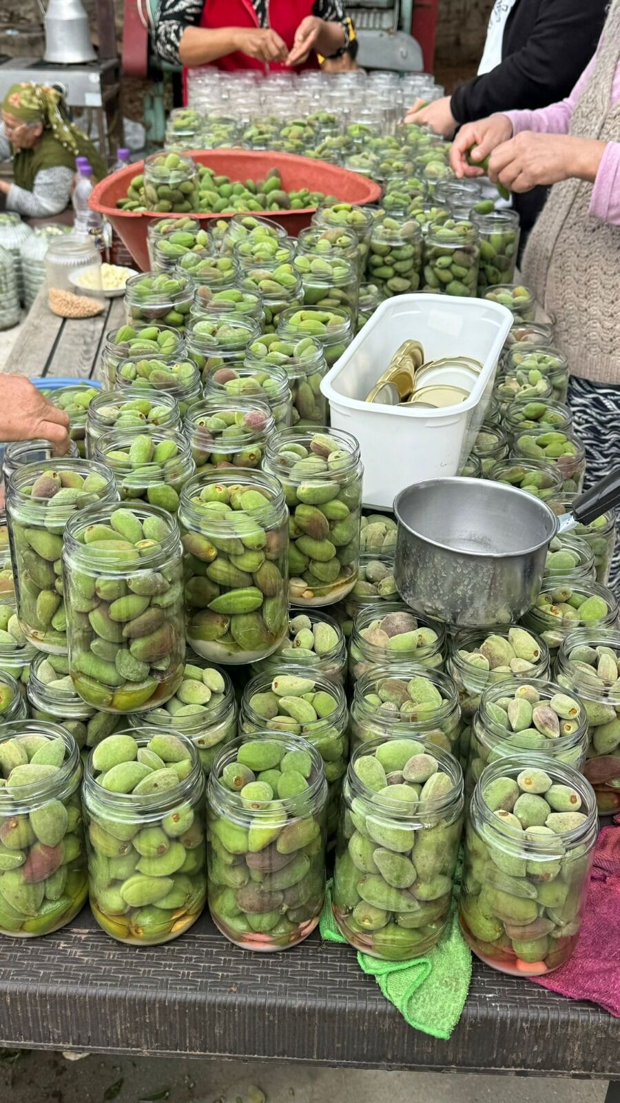 Whatsapp Image 2026 04 15 At 10.54.58