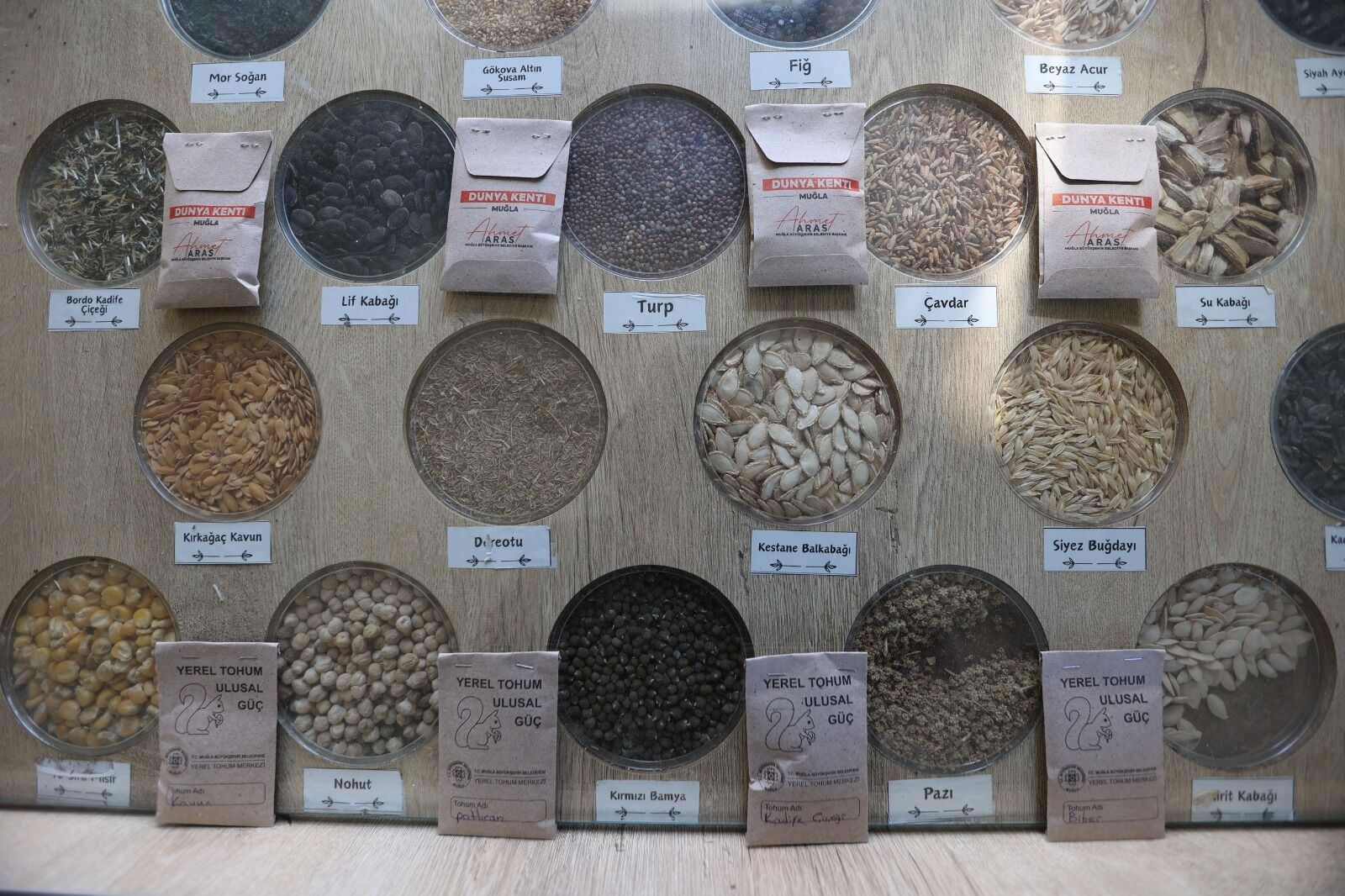 Whatsapp Image 2026 04 24 At 11.50.44 (1)