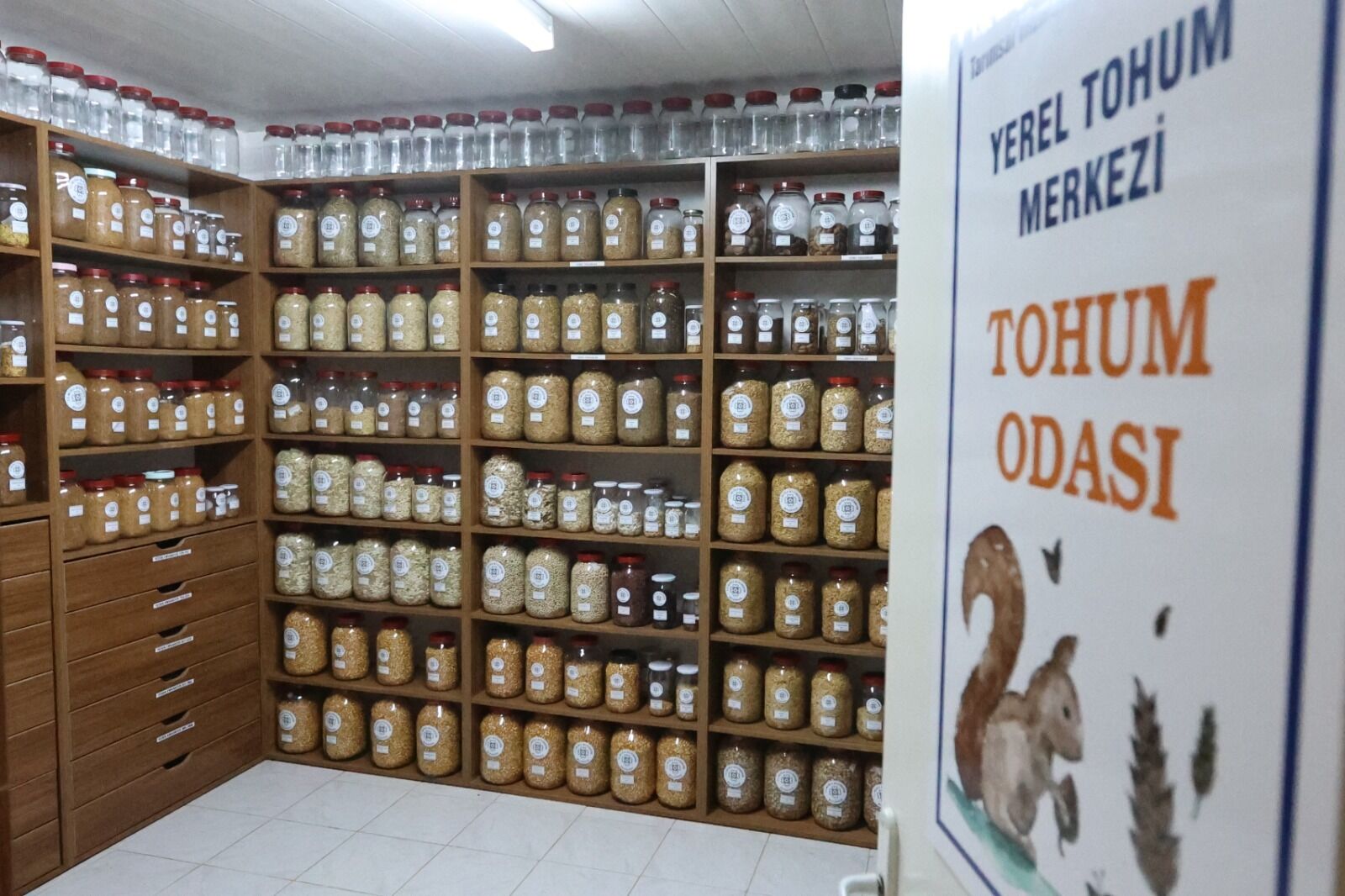 Whatsapp Image 2026 04 24 At 11.50.44