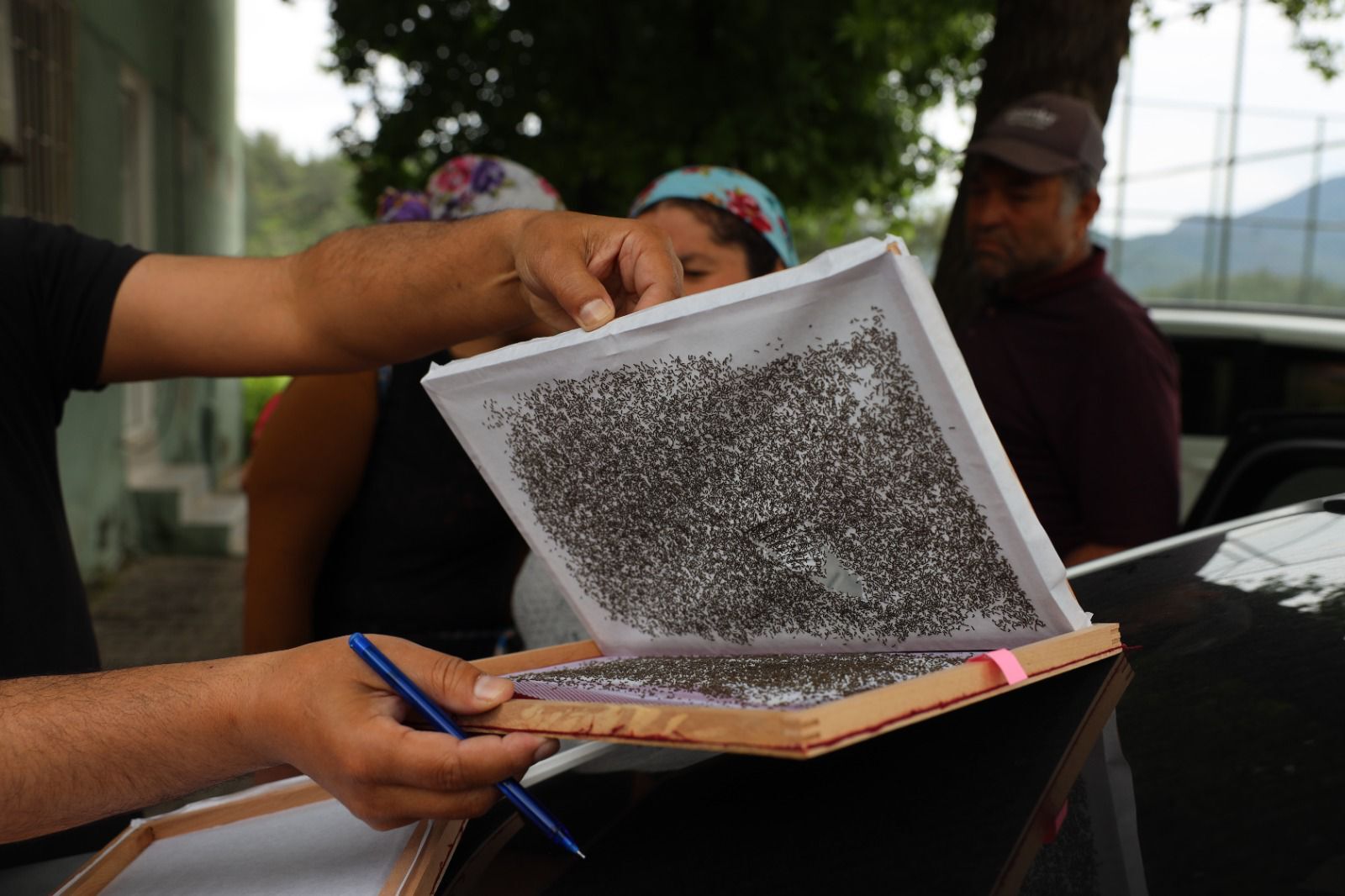 Muğla’da İpekböcekçiliğine Destek 98 Üreticiye Dağıtım Yapıldı (1)