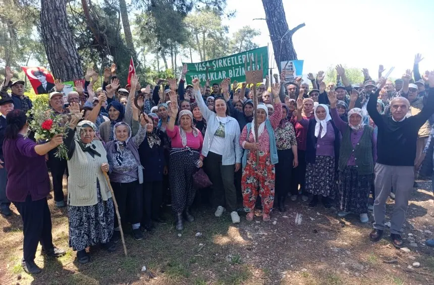Danıştay, Akbelen Kamulaştırmasını Durdurdu