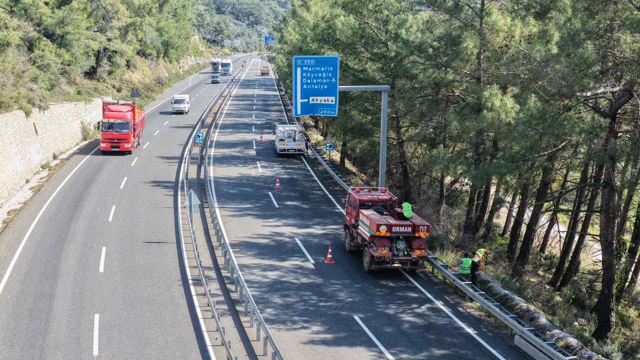 Orman Yangını Riski İçin Temizlik Seferberliği Çağrısı (4)