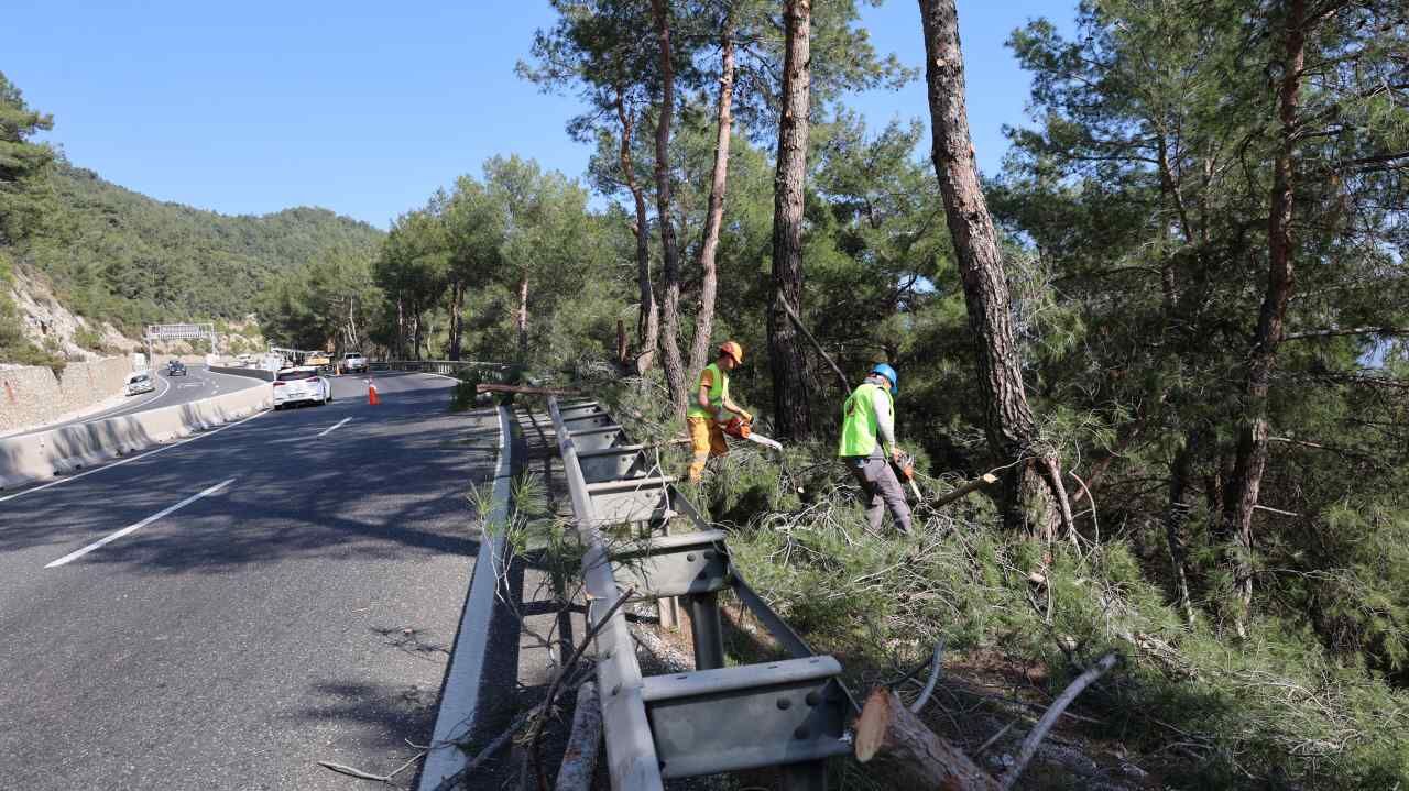 Orman Yangını Riski İçin Temizlik Seferberliği Çağrısı (5)