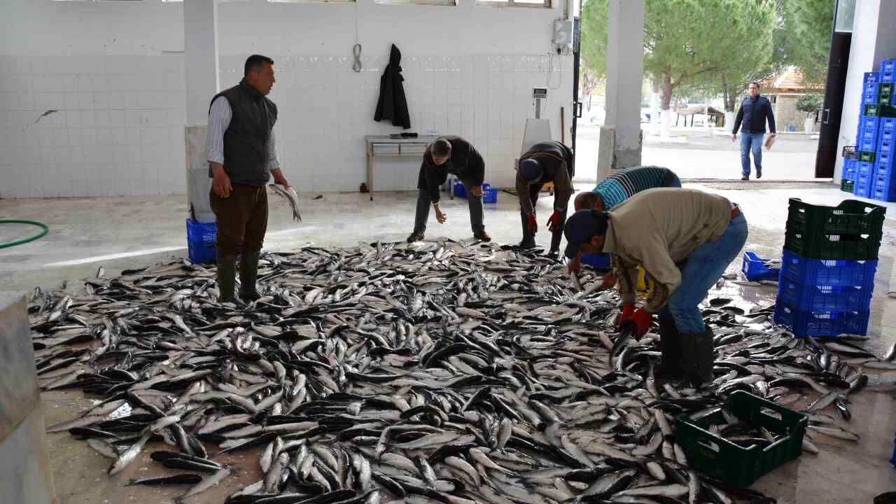 Muğla İhracatı İlk Beş Ayda Yüzde 6,5 Arttı (1)