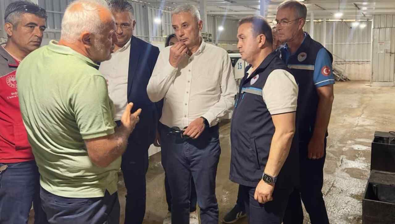 Seydikemer’de Alabalık Üretimi Için Saha Incelemesi (1)