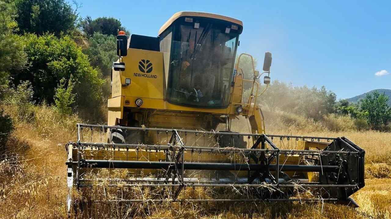 Menteşe’de Arpa Ve Yulaf Hasadında Biçerdöver Denetimi (1)