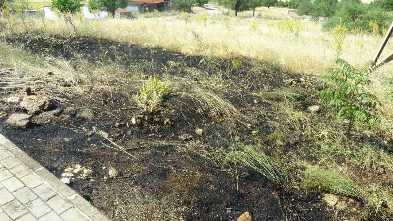 Menteşe’de Sigara İzmariti Kuru Otları Tutuşturdu (3)