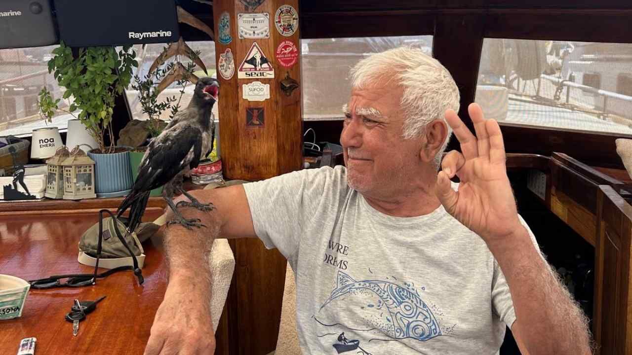 Bodrum’da Susuz Kalan Kargaya Denizciden Yardım Eli (1)