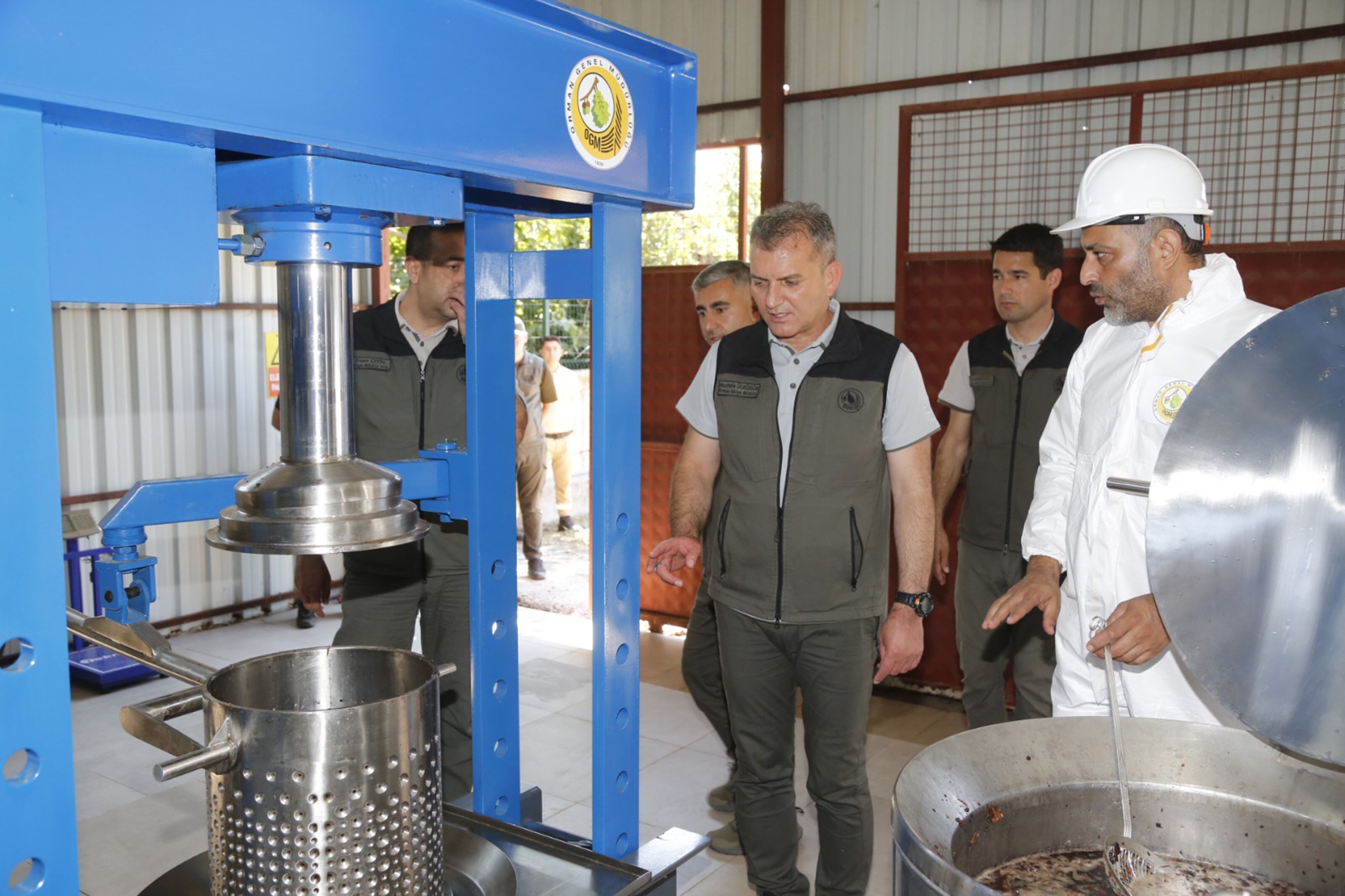Muğla’da Sığla Yağı Üretimi Kapalı Sistemle Başladı (5)
