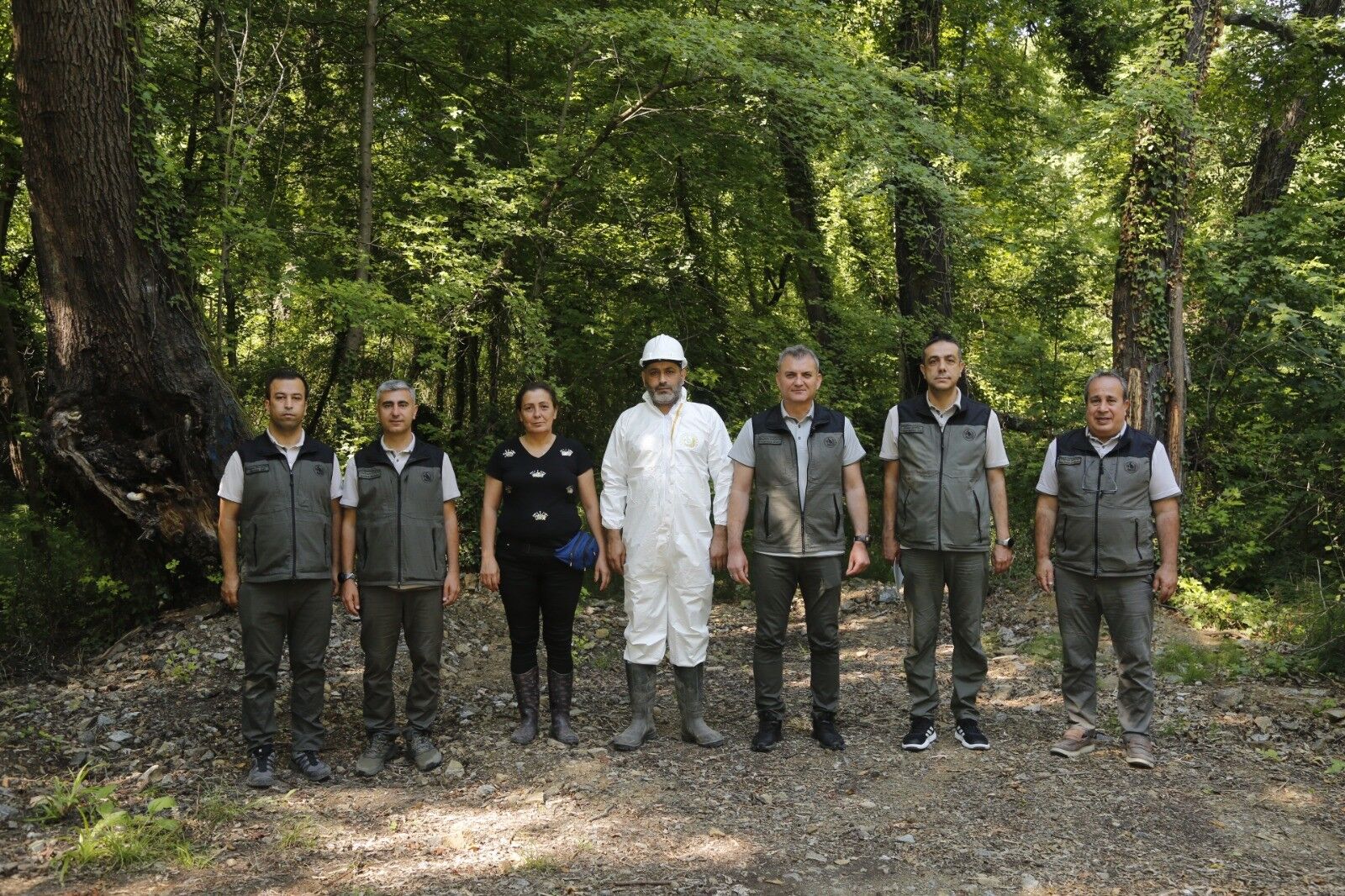 Muğla’da Sığla Yağı Üretimi Kapalı Sistemle Başladı (6)