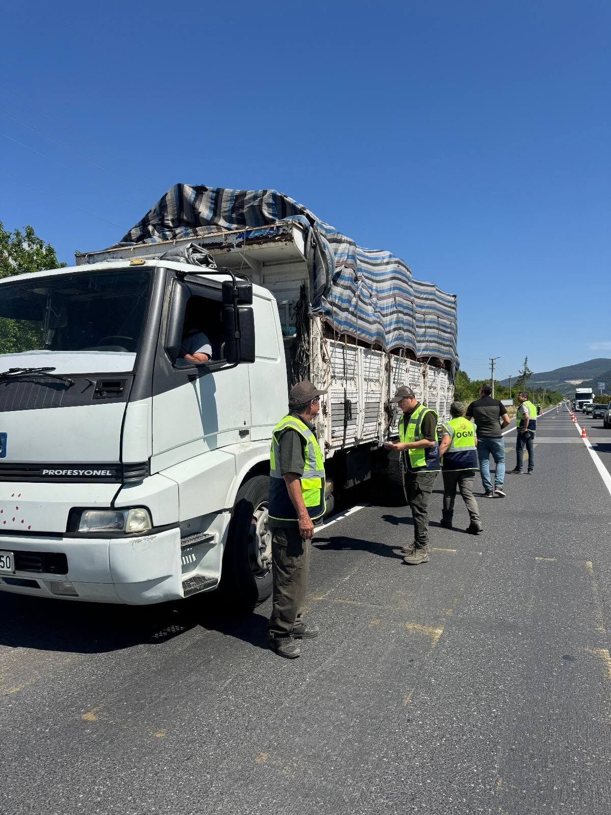 Muğla’da Orman Emvali Taşıyan Araçlara Denetim716650290 2010976879514292 8086335838791282488 N
