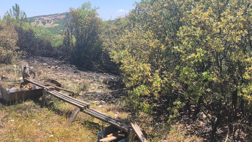 Menteşe’de Arı Kovanları Yakınında Çıkan Yangın Büyümeden Söndürüldü (1)