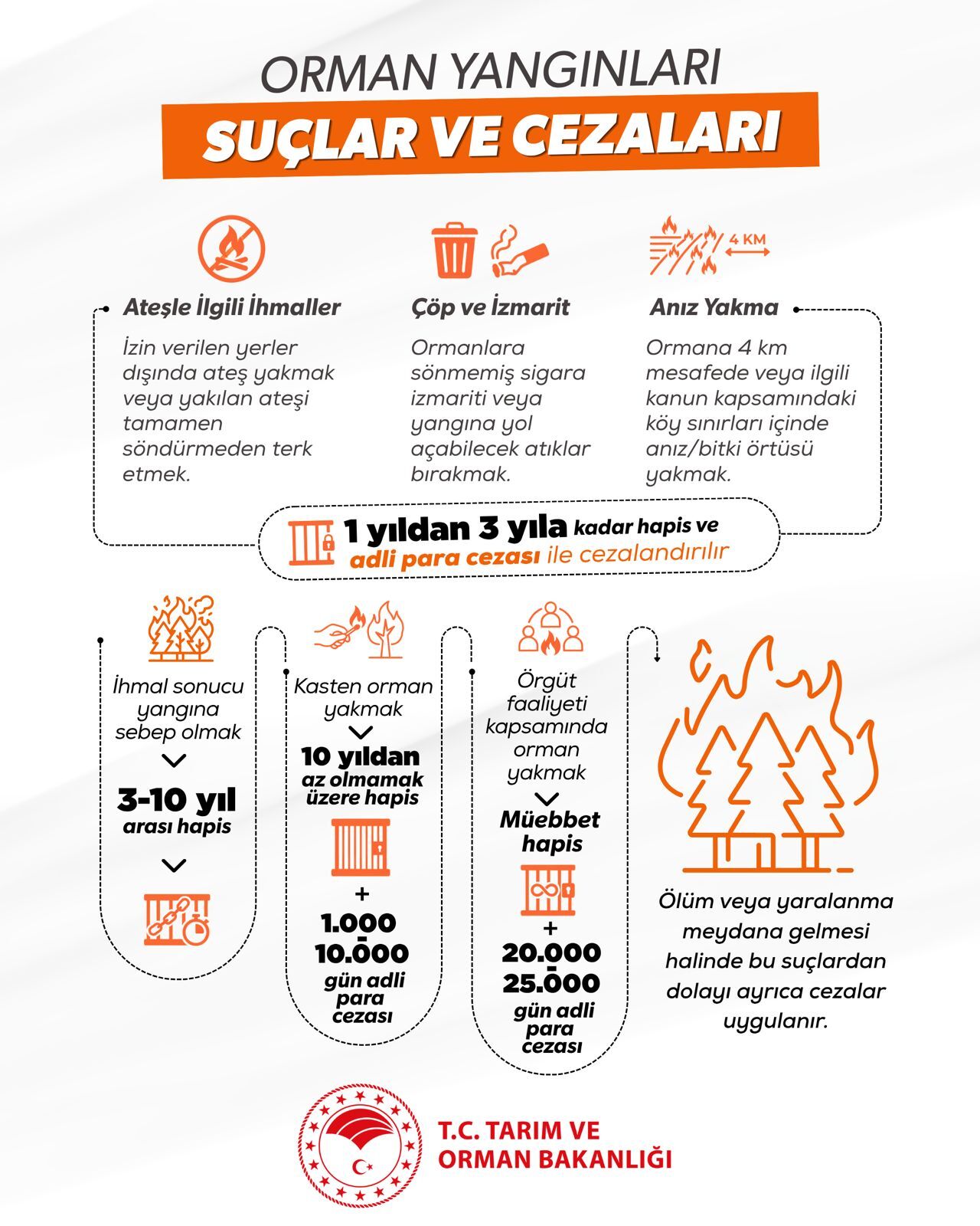 Yangın (3)