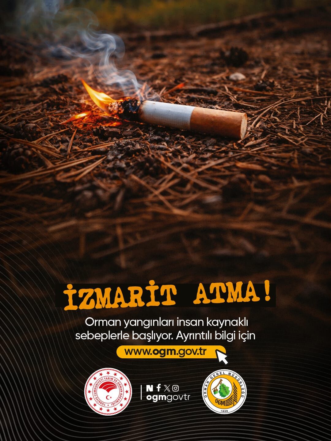 Yangın (4)