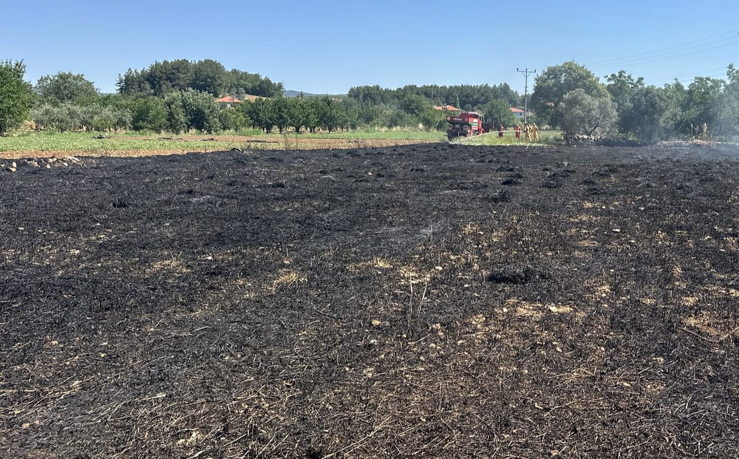 Menteşe’de Ot Yangını Söndürüldü (2)