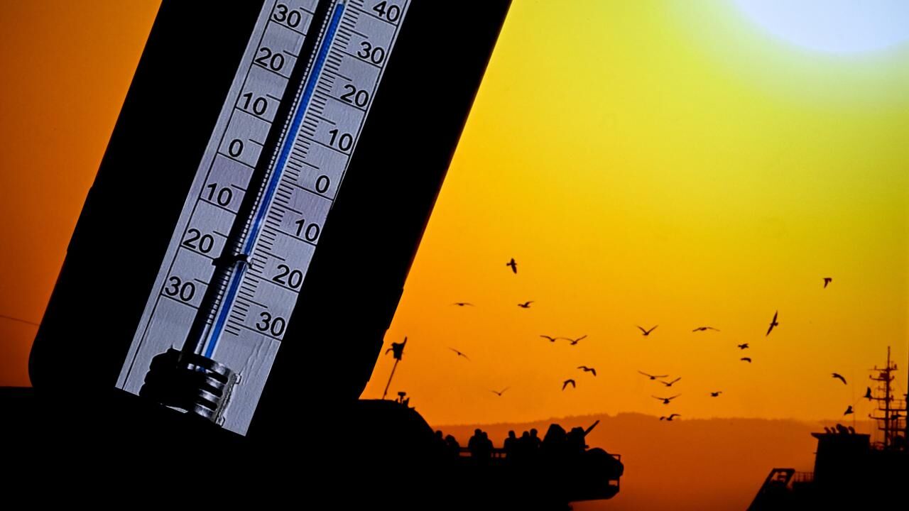 Uzman isimden El Nino uyarısı! Yangın tehlikesi kapıda
