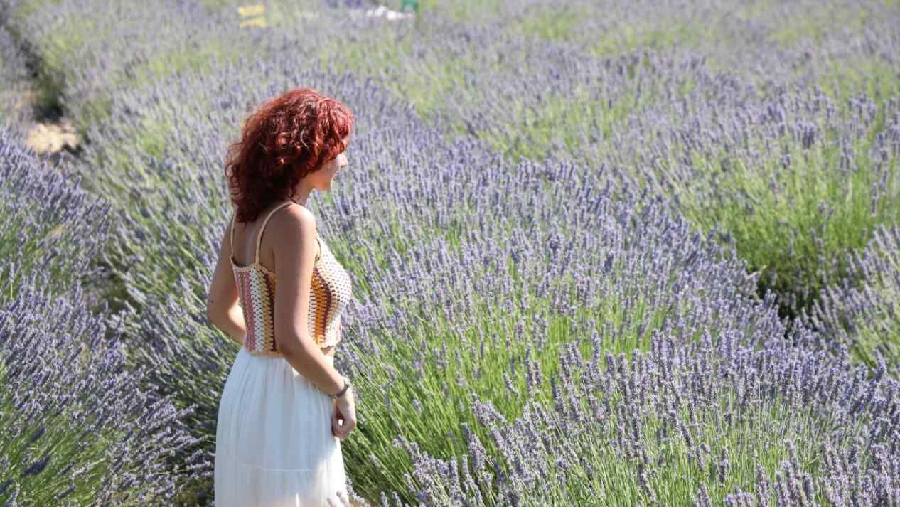 Muğla Koku Vadisi'nde Lavanta Hasadı Başlıyor (4)