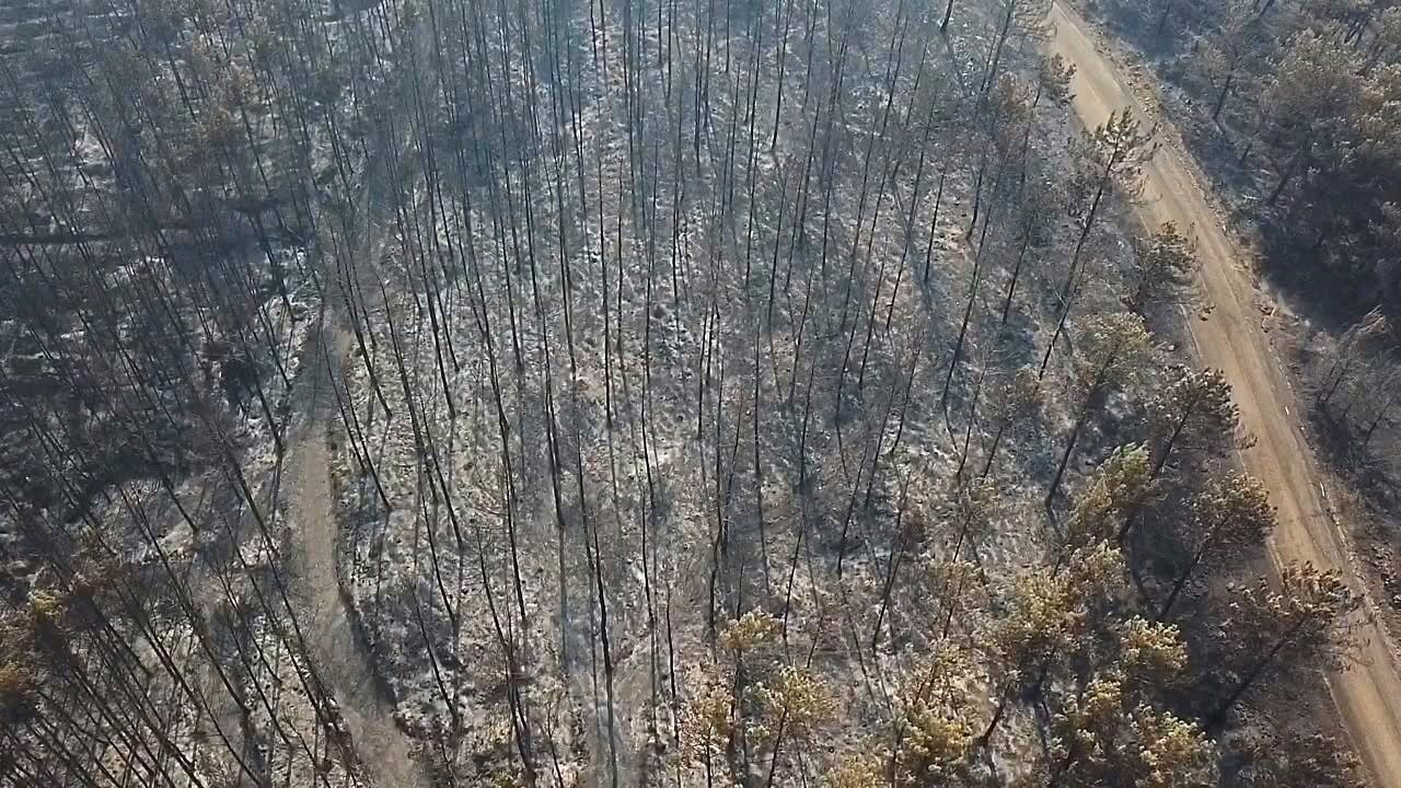 Seydikemer Yangınında Yeşil Alanlar Siyaha Büründü (1)