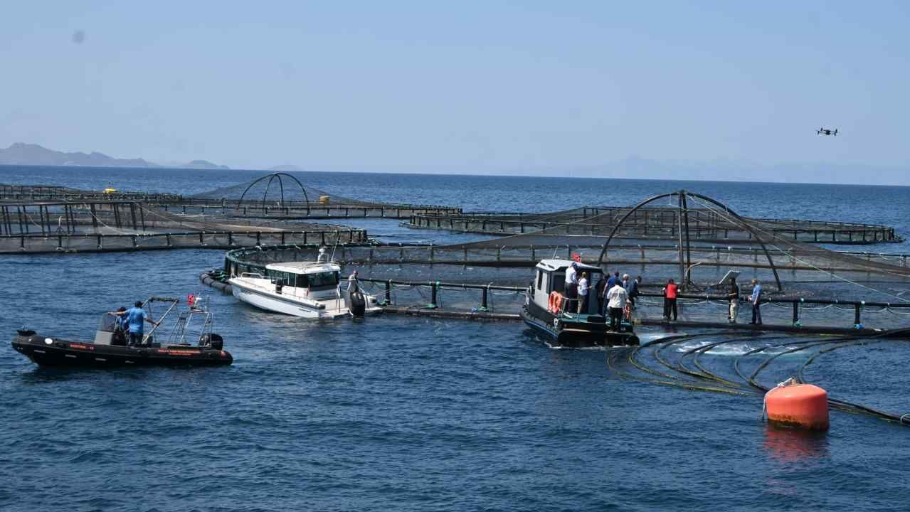 Bakan Yumaklı Milas'ta Su Ürünleri Tesisini İnceledi (2)