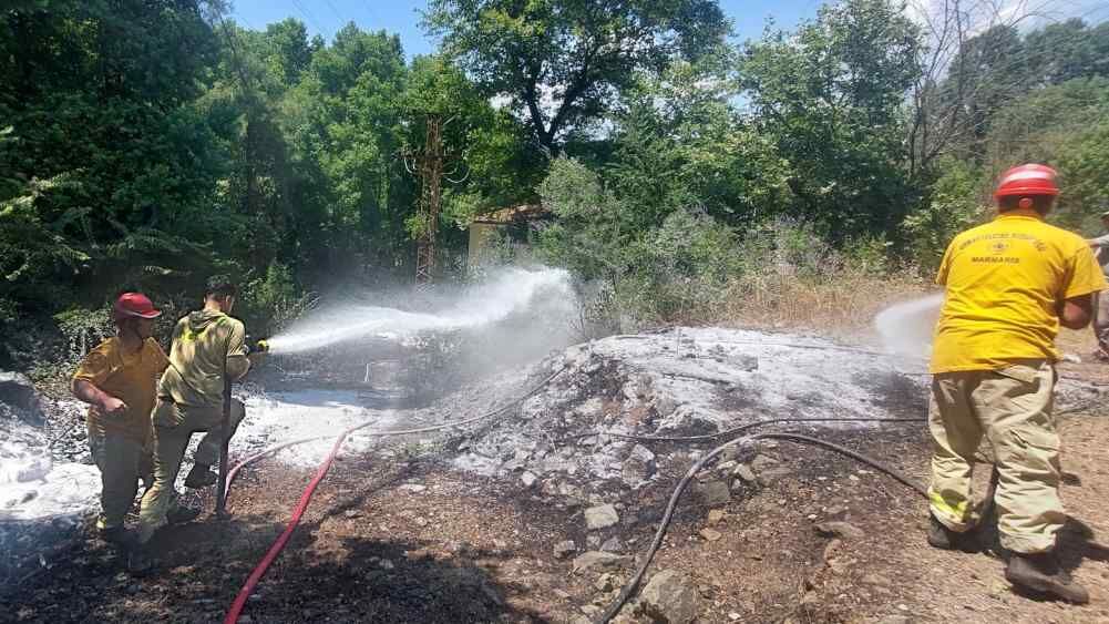 Marmaris Çamlı'daki Yangın Ormana Sıçramadan Söndü (2)