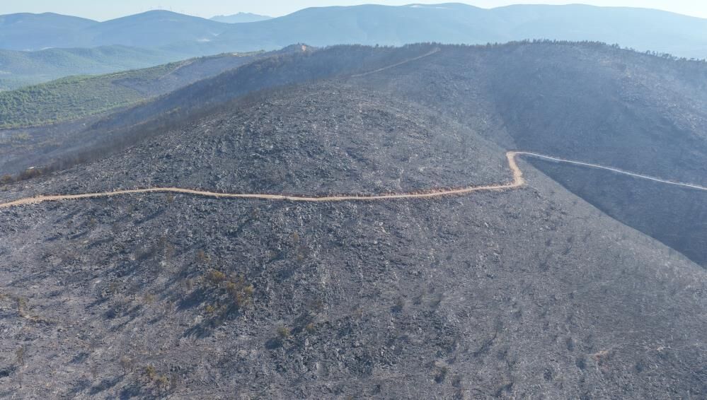 Milas'ta Yangının İzleri Havadan Görüntülendi3