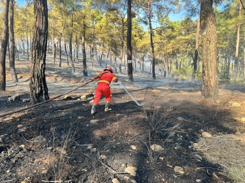 Ortaca'daki Orman Yangınında İş Yeri Sahibi Adli Kontrolle Serbest (2)