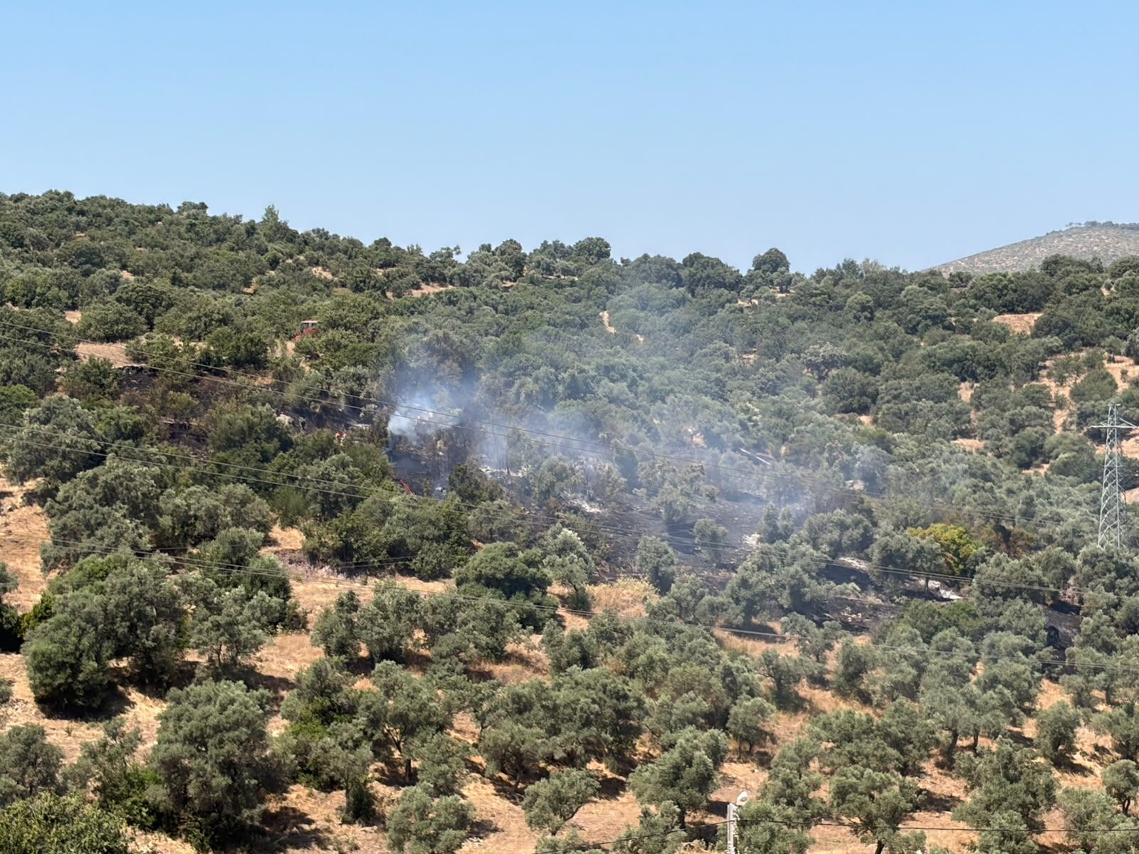 Bodrum Modern Evleri Yakınındaki Yangın Kontrol Altına Alındı (2)