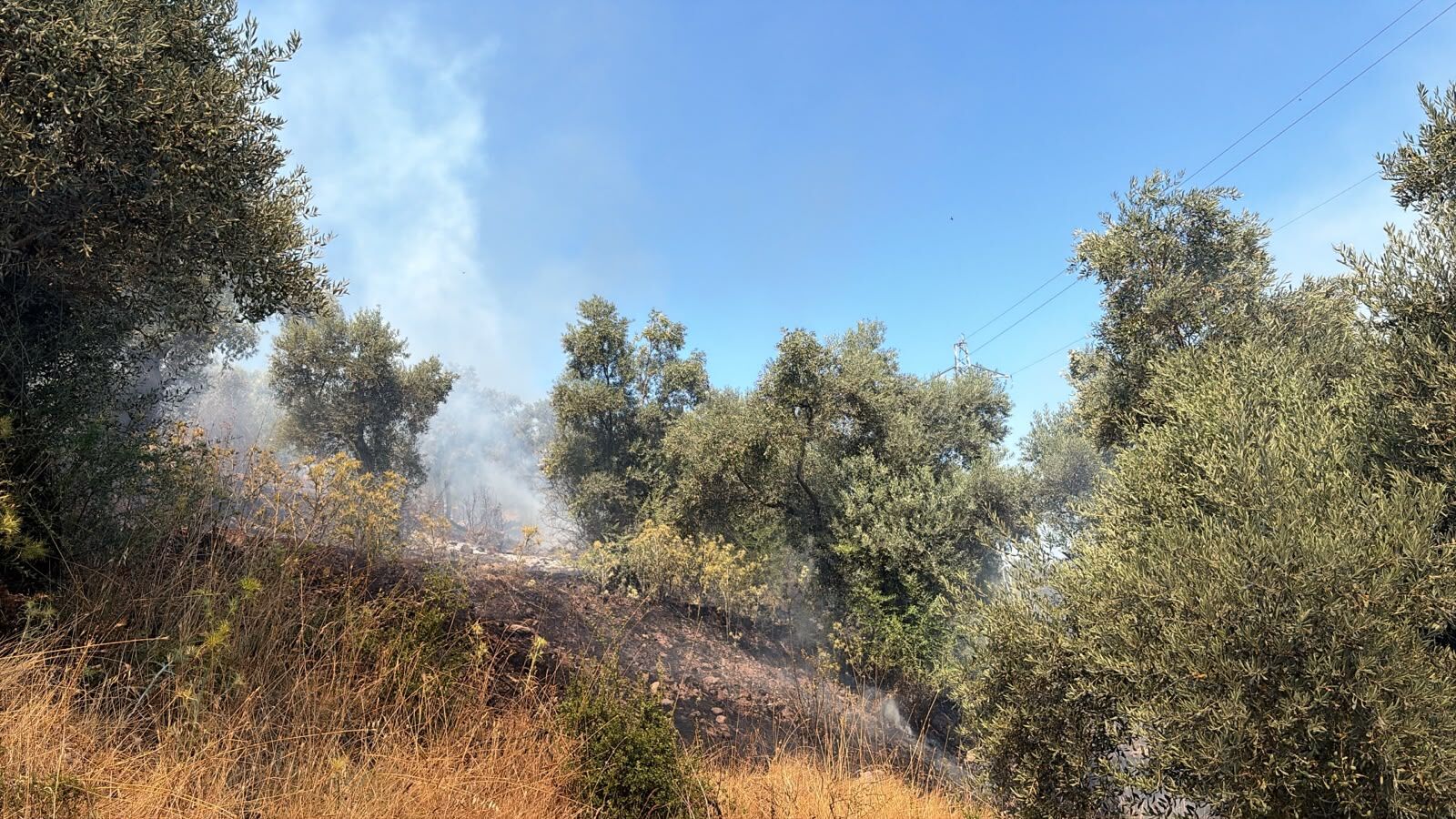 Bodrum'da Elektrik Kaynaklı Duman Paniği (2)